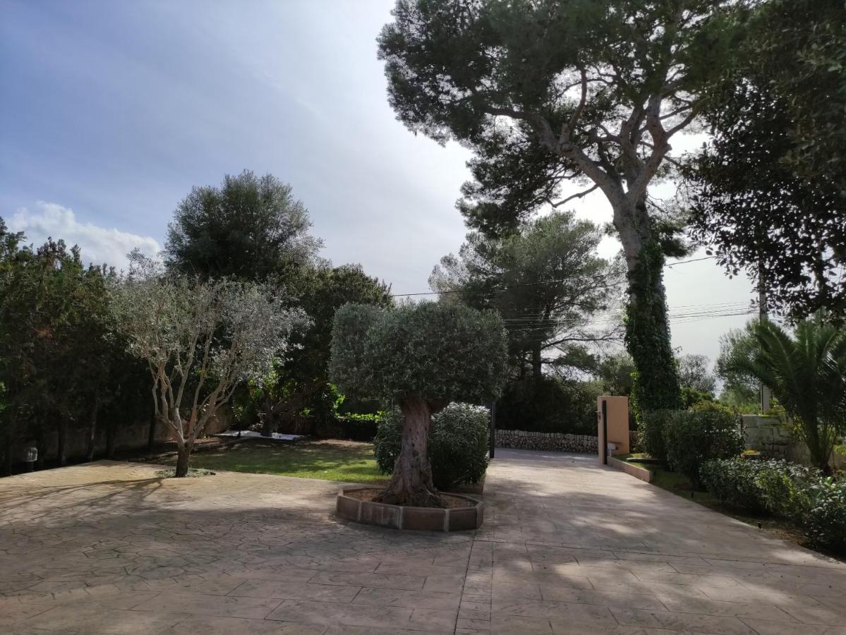 Villa Mestral Alcúdia Esterno foto