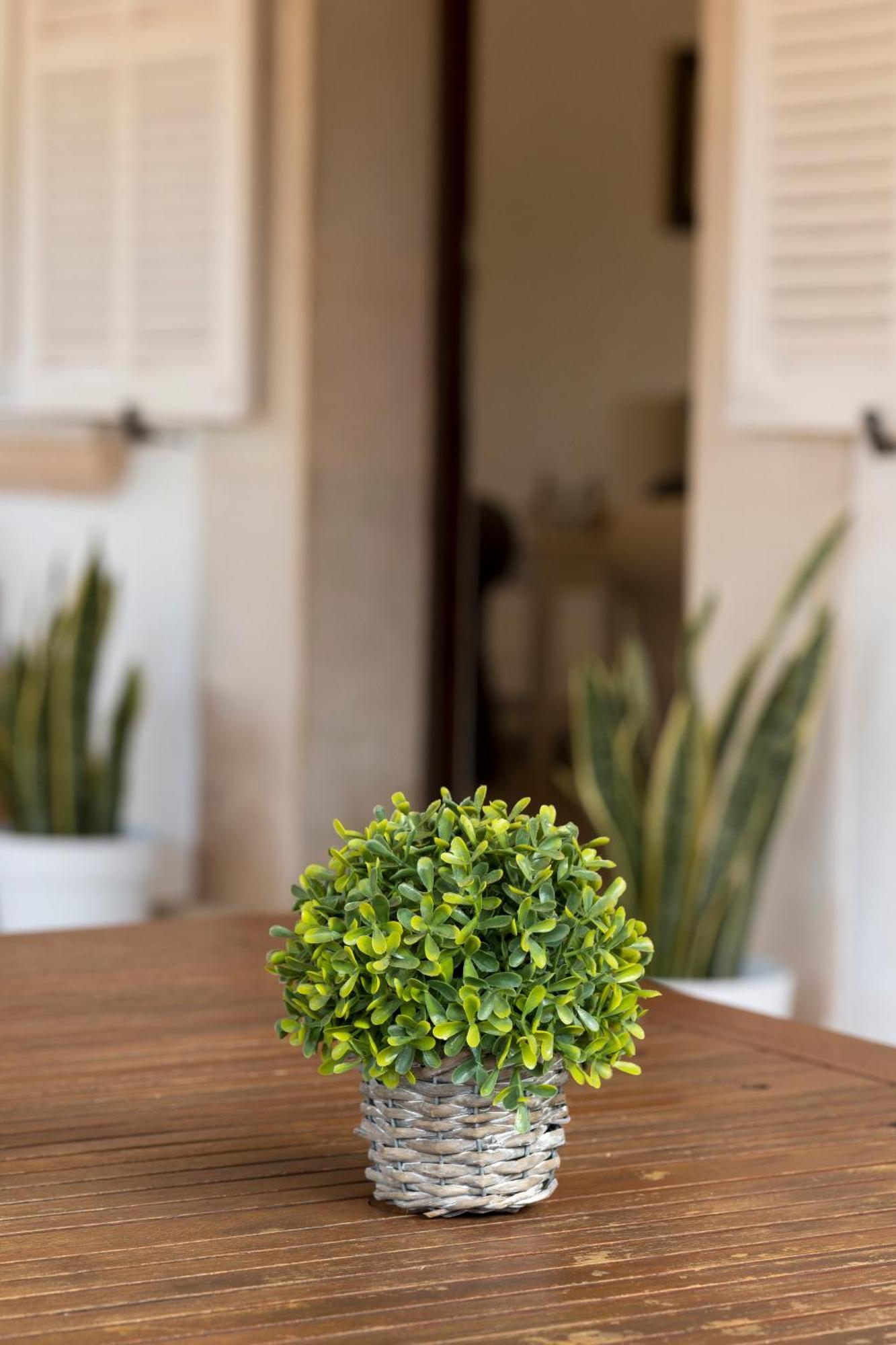 Villa Mestral Alcúdia Esterno foto